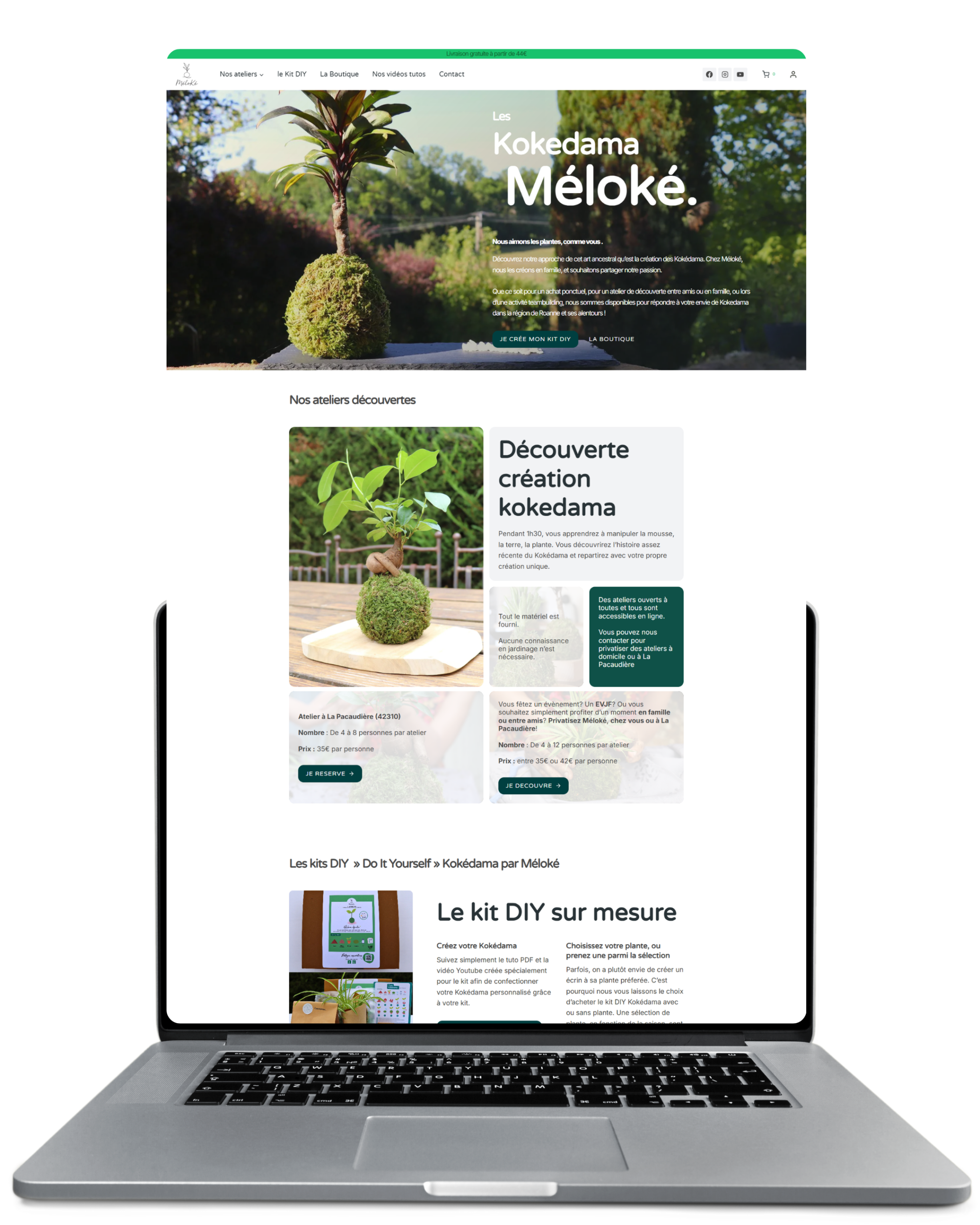 Boutique en ligne Méloké kokédama, LoirePixel